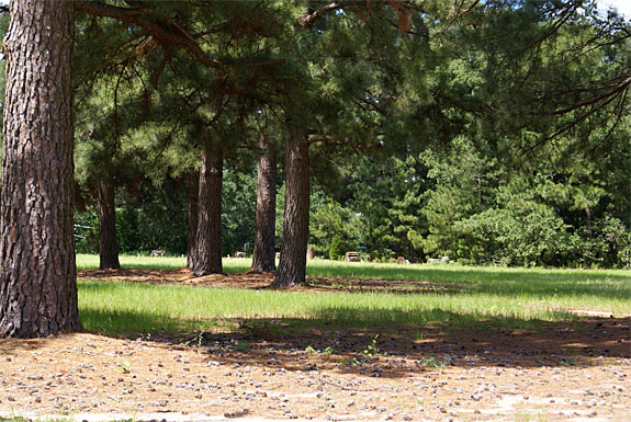 View 1 Grounds- Loblolly Pines Village