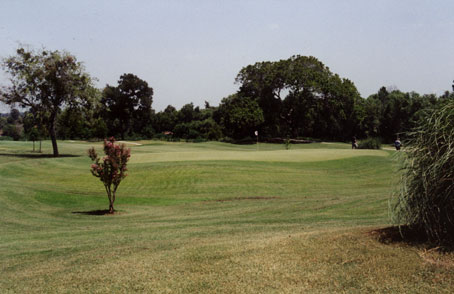 Pine Forest Golf Course photo