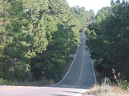 Scene of the rolling hills in Tahitian Village.