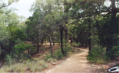 Along the trails at McKinney Roughs