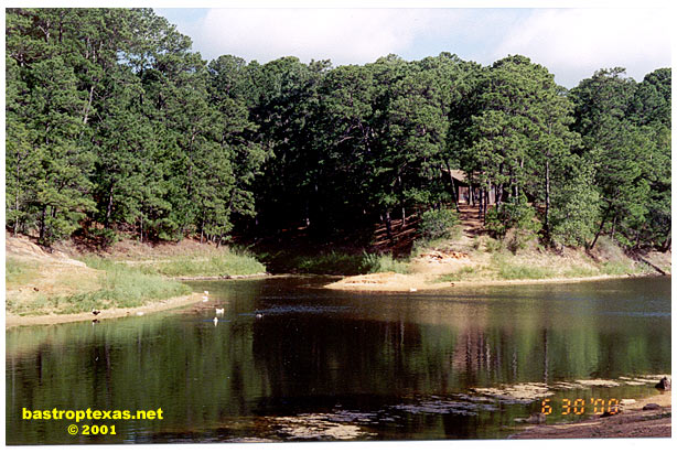 The Bastrop State Park - Bastrop, Texas