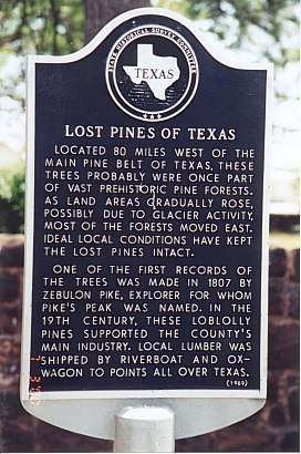 Bastrop State Park-Home of the Lost Pines of Texas